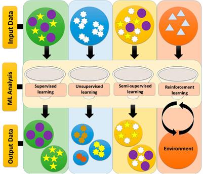 Machine Learning: A New Prospect in Multi-Omics Data Analysis of Cancer